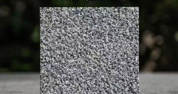 广安 芝麻黑荔枝面