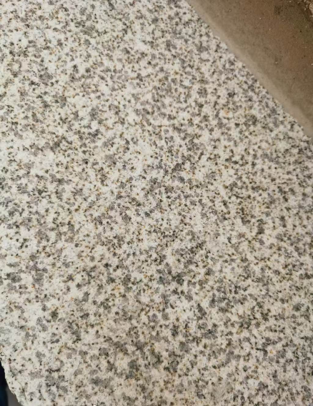 广安 黄金麻中黄光面
