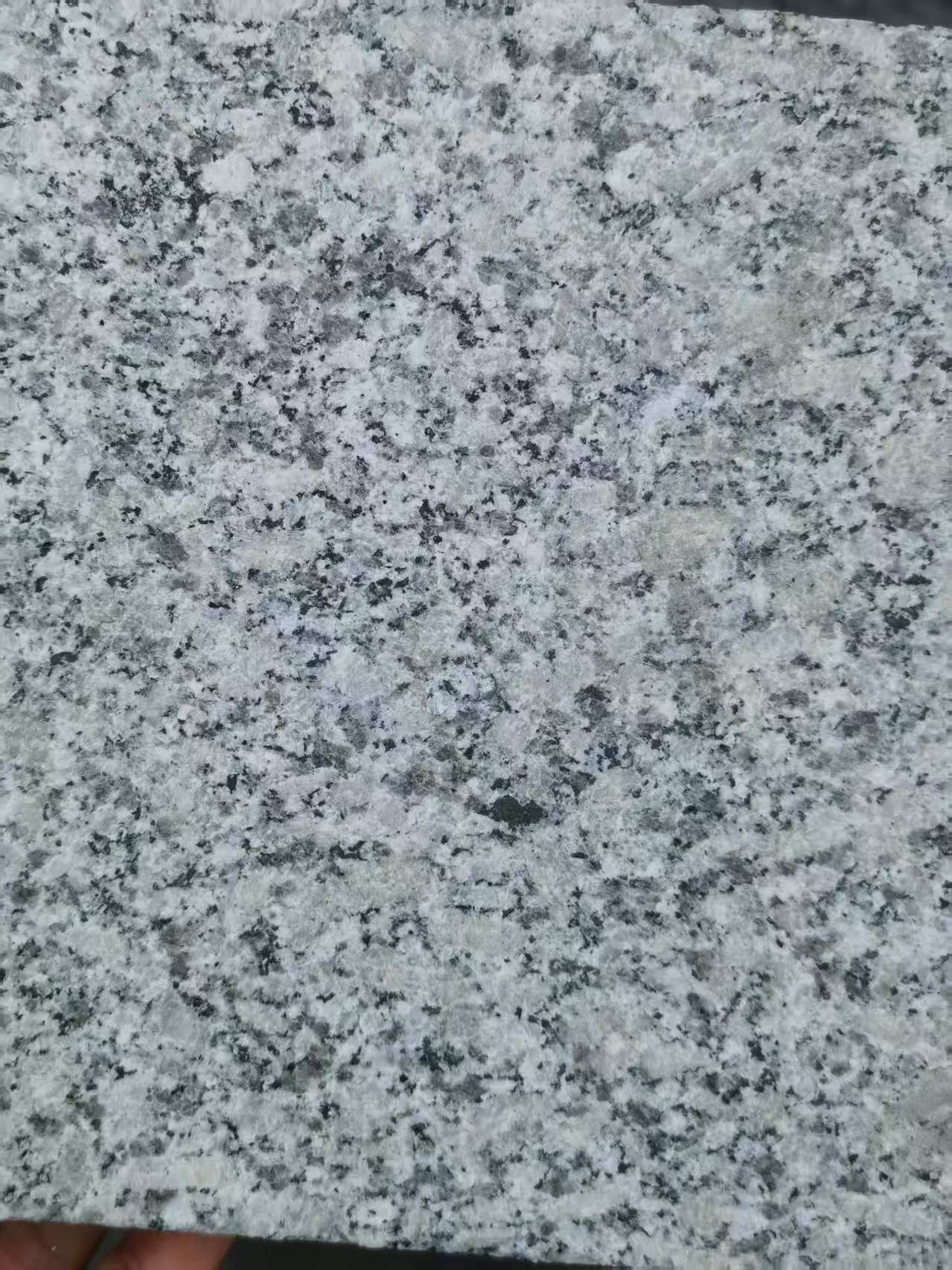 广安 芙蓉白火烧面