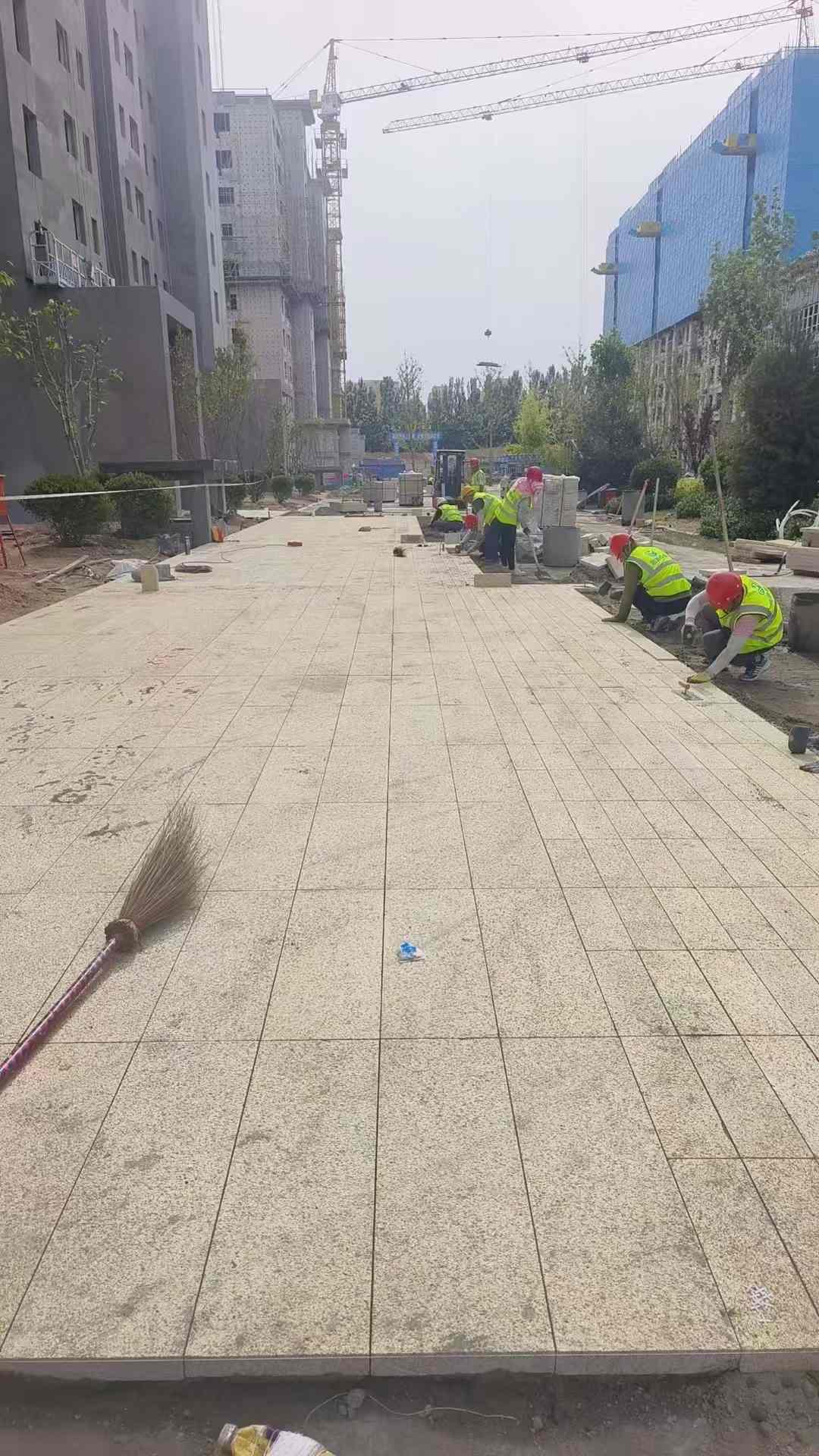 广安黄金麻荔枝面地铺案例